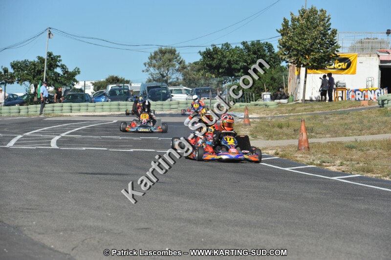 DSC (2642).JPG